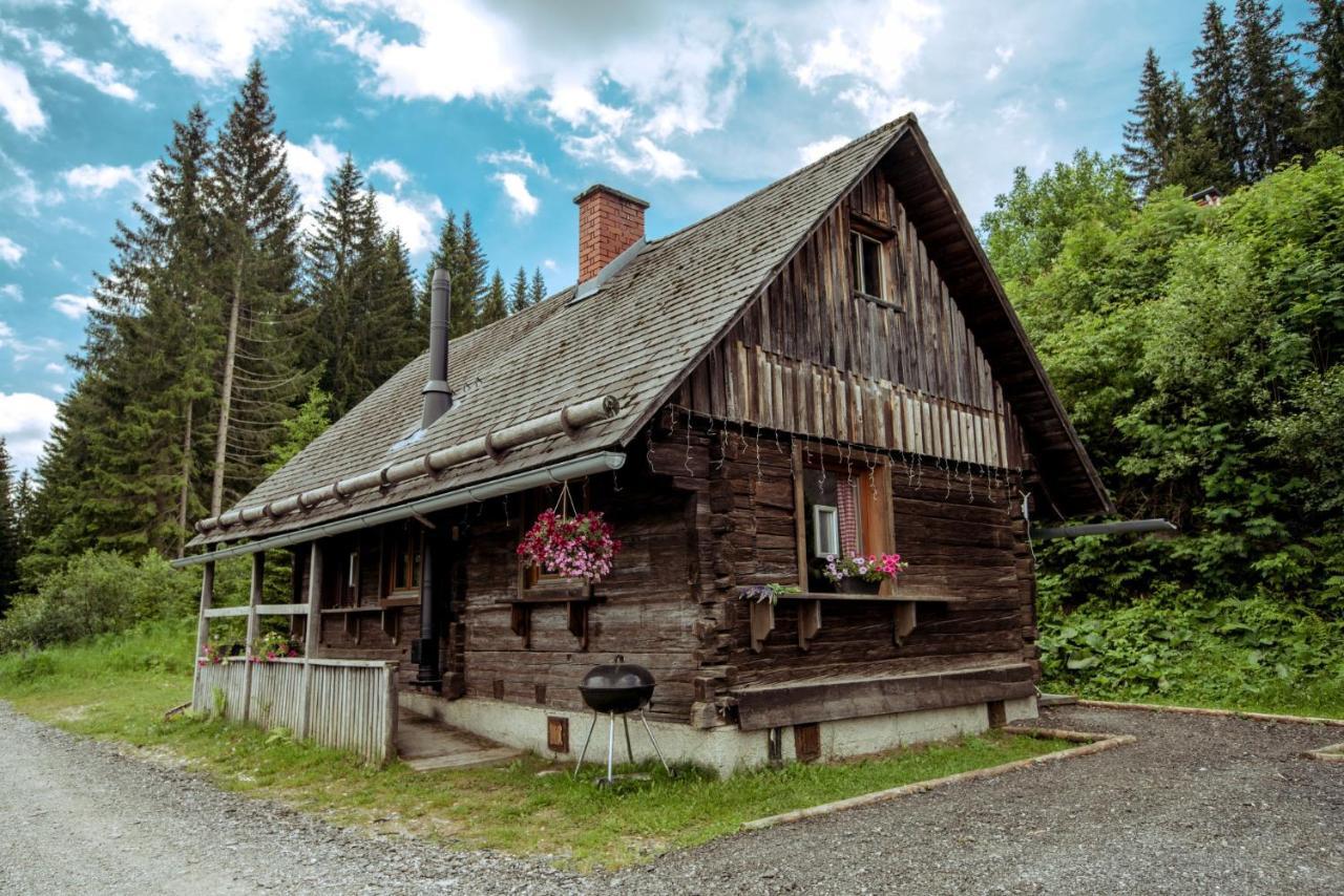 Vila Almhutte Hebalm Pack Exteriér fotografie